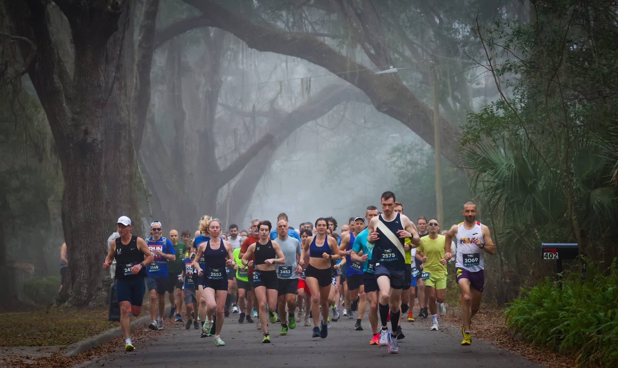 Members of the Gainesville Run Club participate in a road race on a foggy path lined with moss-covered trees.